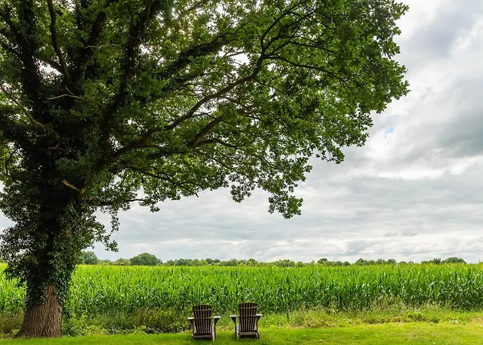 Zollhoes Zoek De Grens Op! Barenfleer