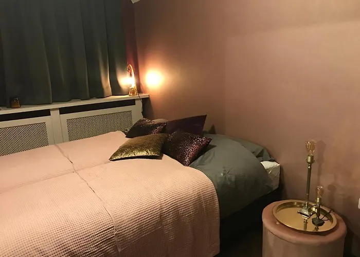 Zollhoes Zoek De Grens Op! * Barenfleer